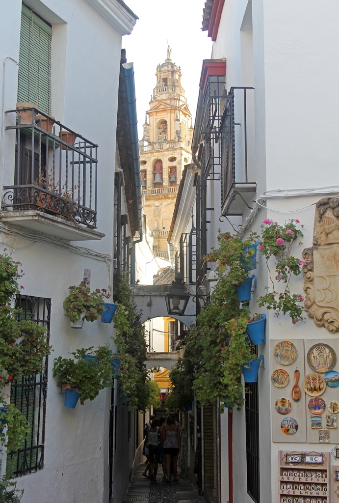 Bell Tower from Calleja de las Flores